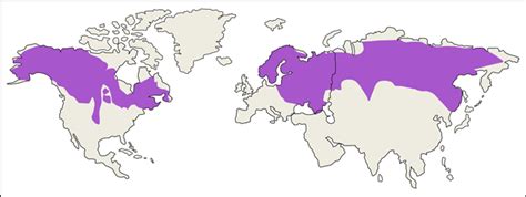 locations where moose are found.